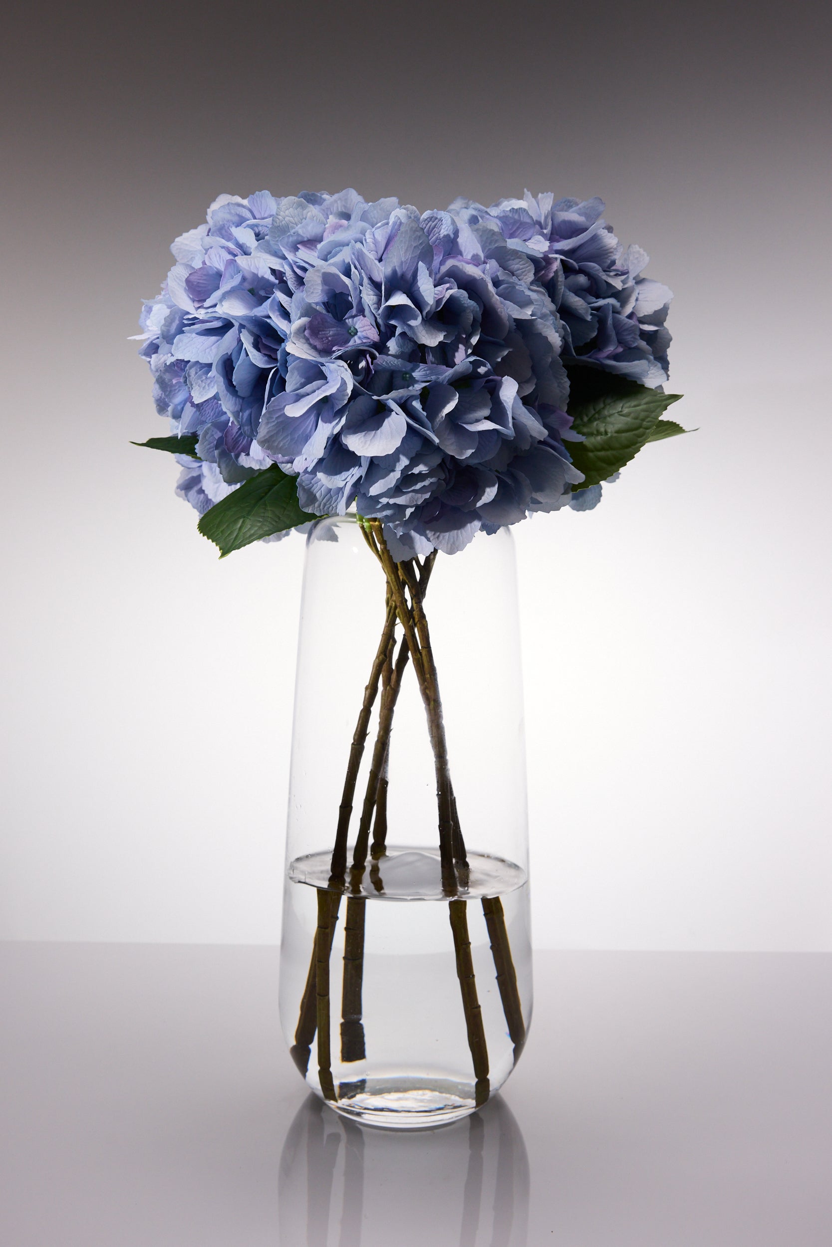 Hydrangea Variations