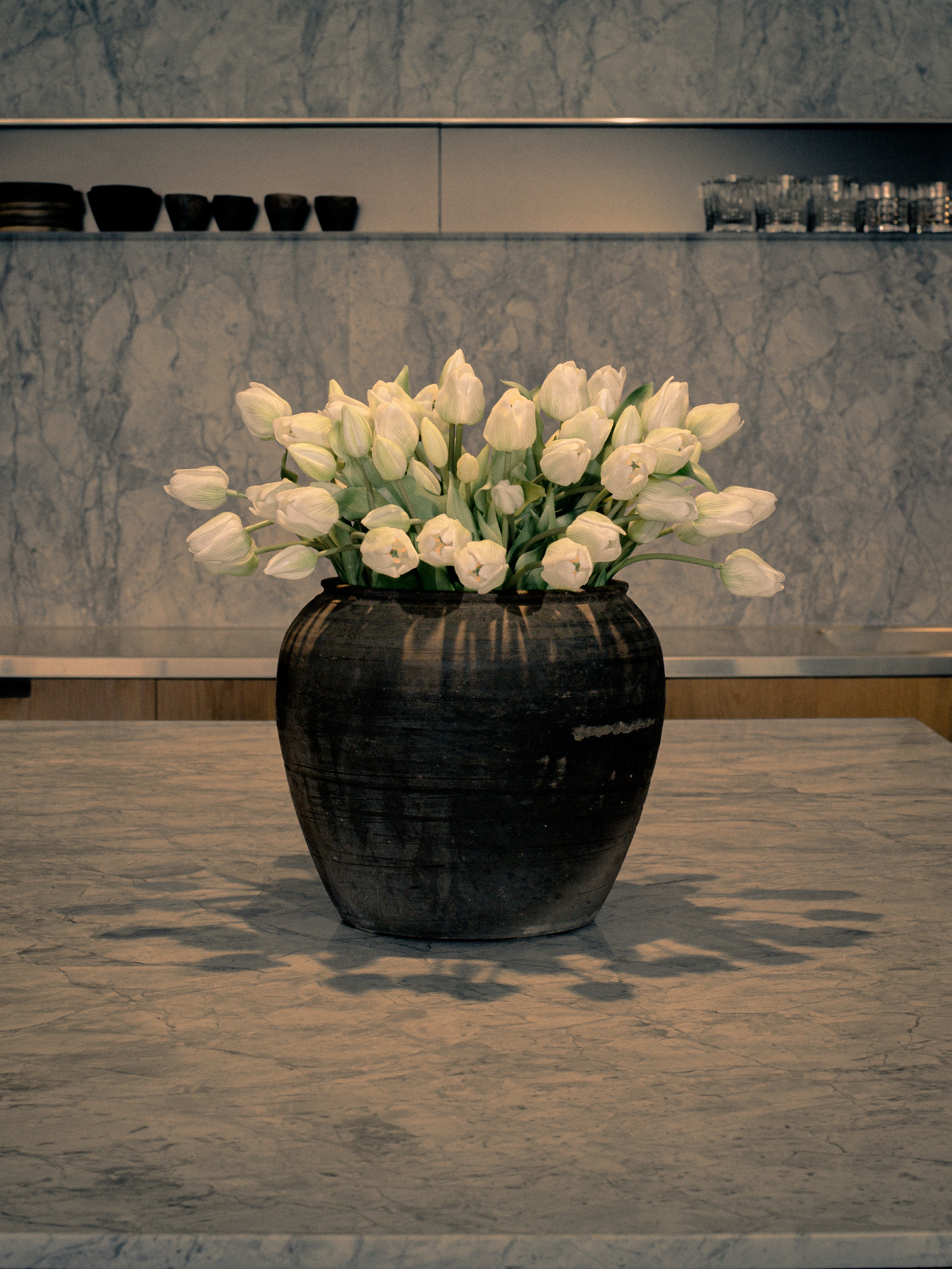 Tulips - White Long Stem