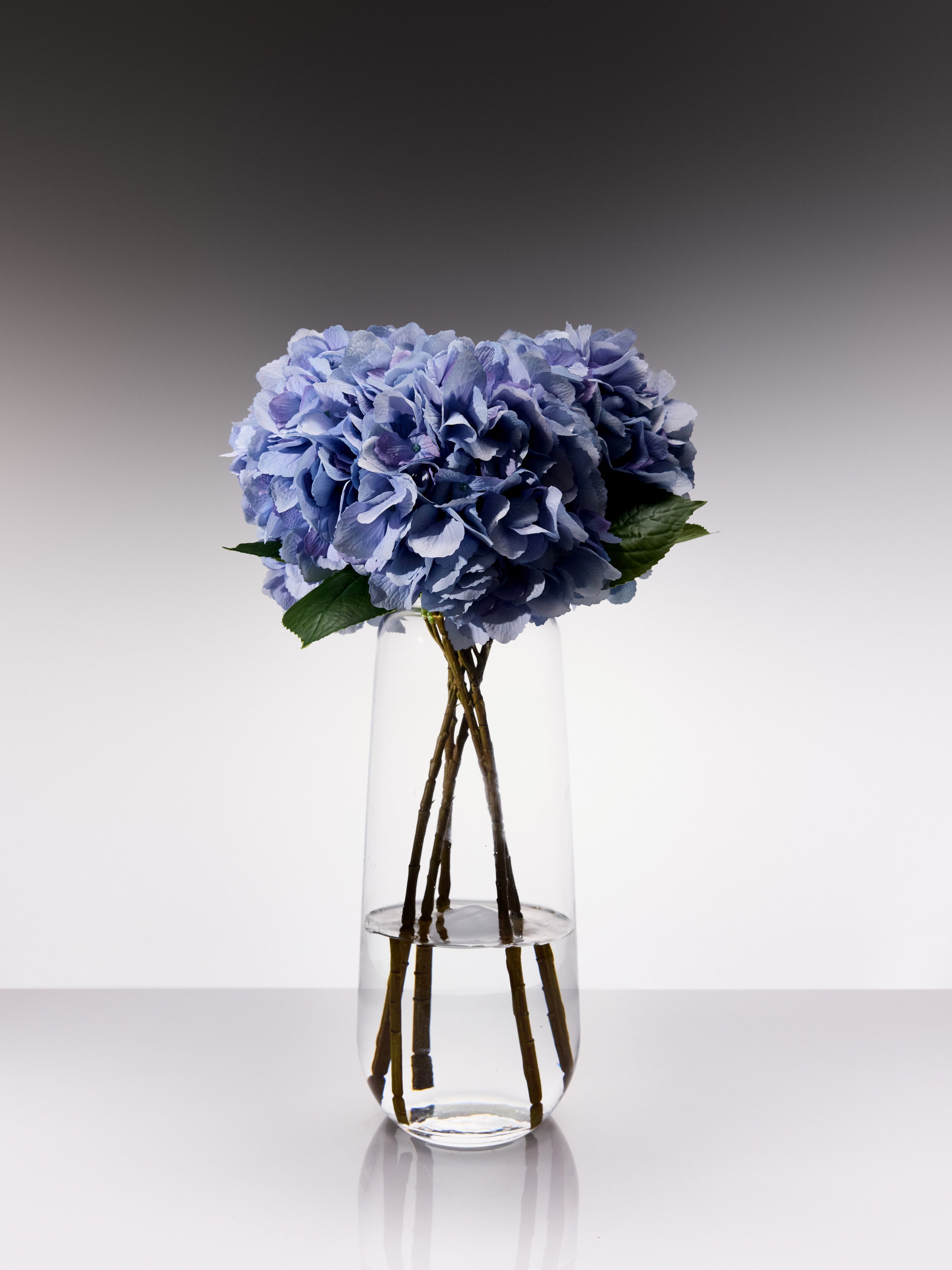 Hydrangeas - Blue