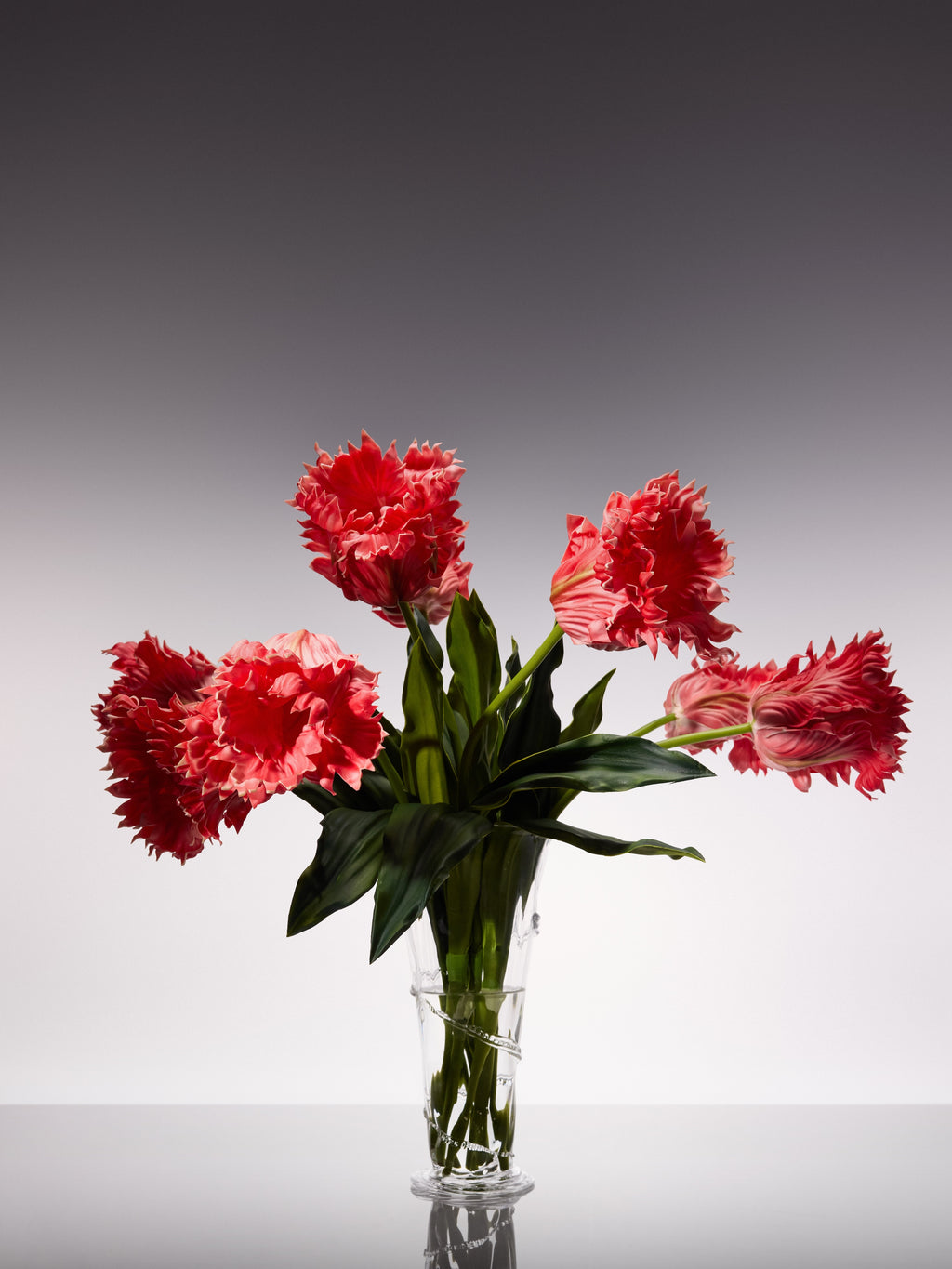 Tulips - Pink Parrot