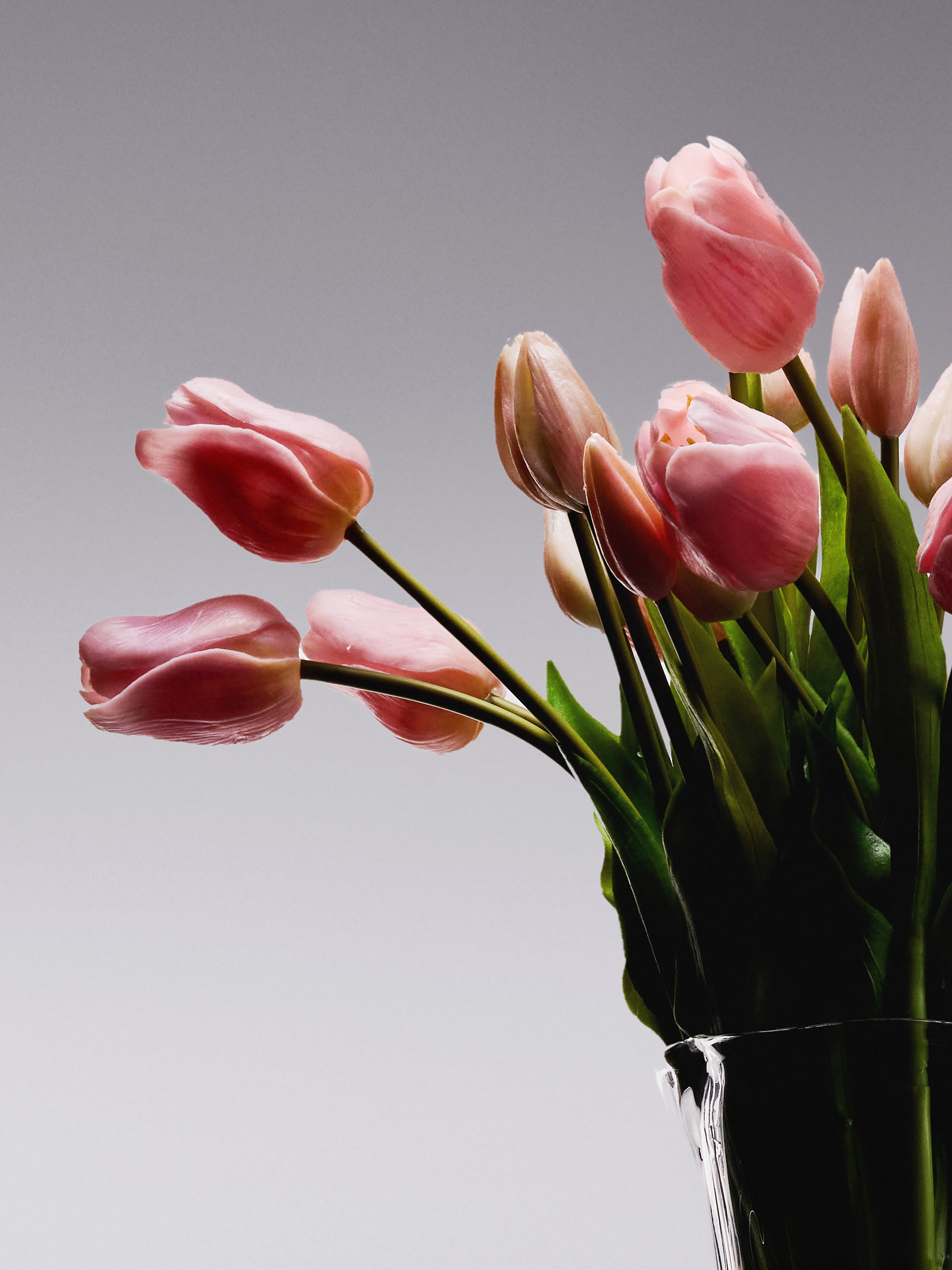 Tulips - Pale Pink Long Stem
