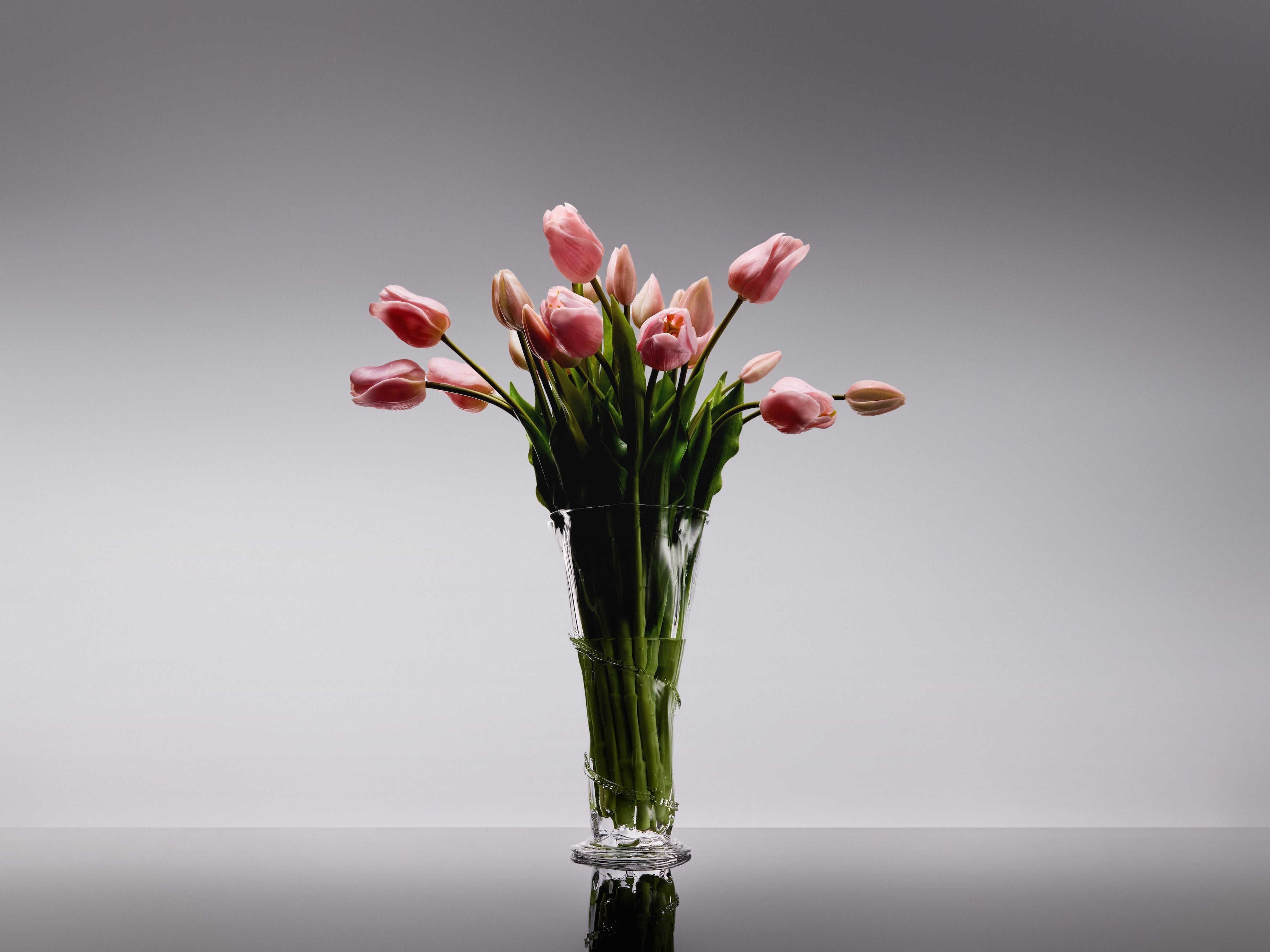 Tulips - Pale Pink Long Stem