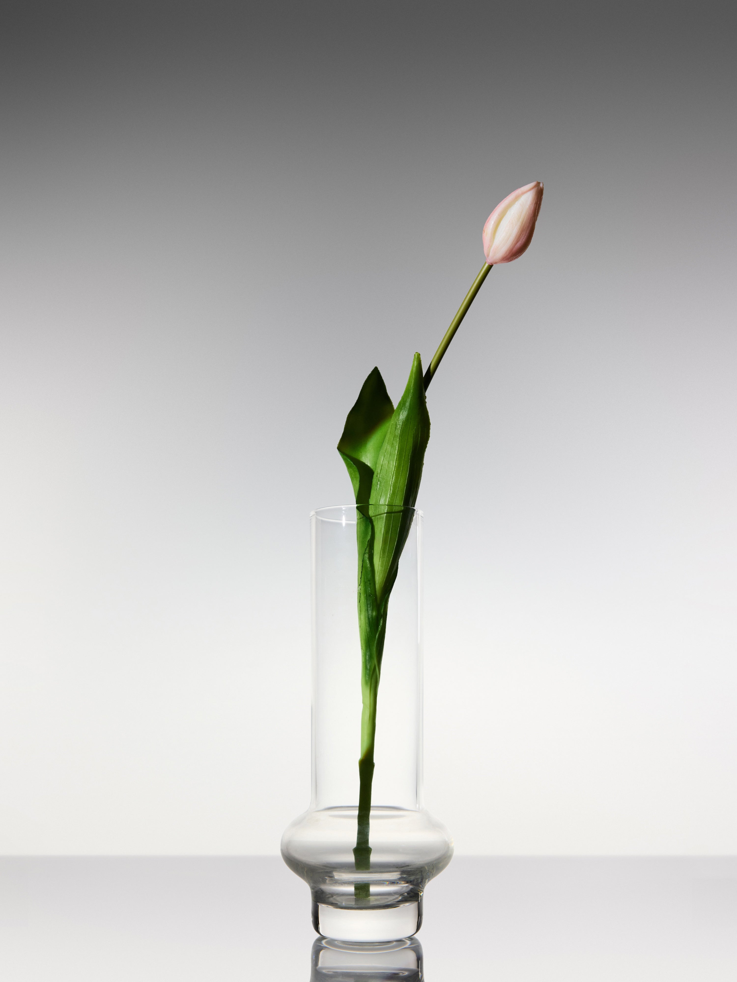 Tulips - Pale Pink Long Stem