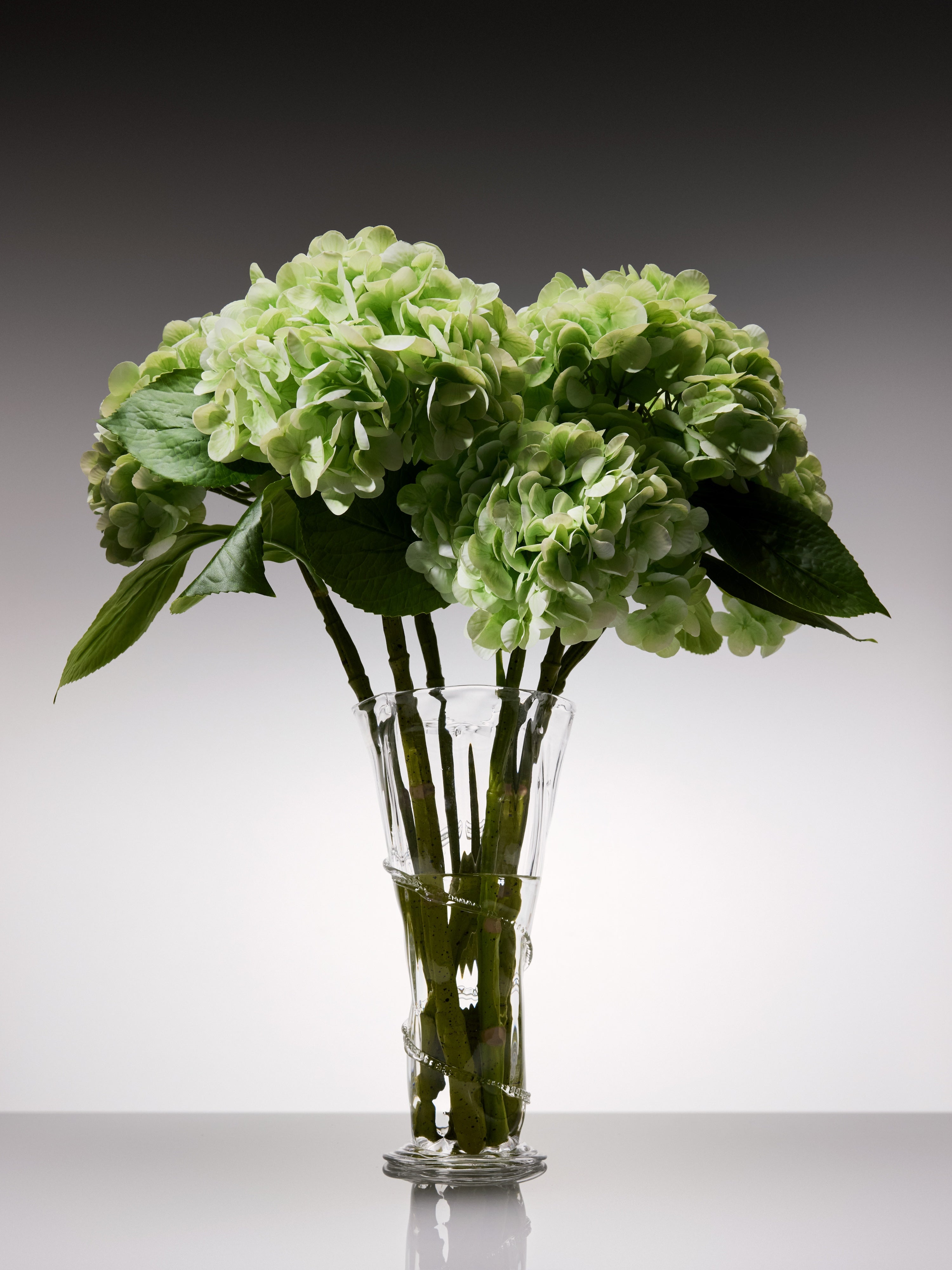 Hydrangeas - Pale Green