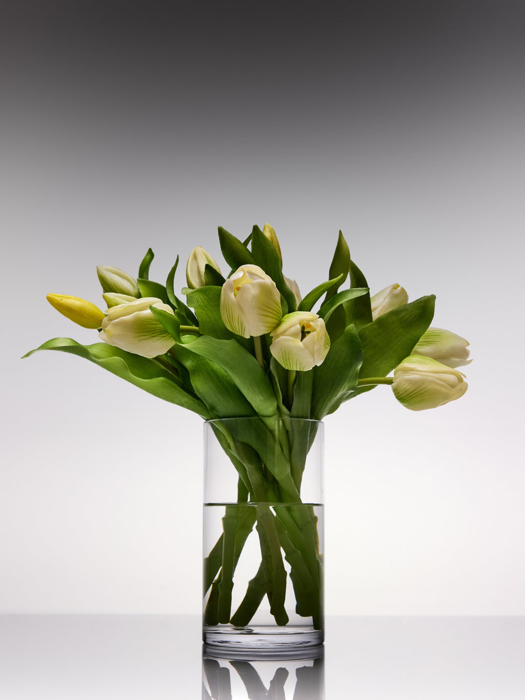 Tulips - White Short Stem