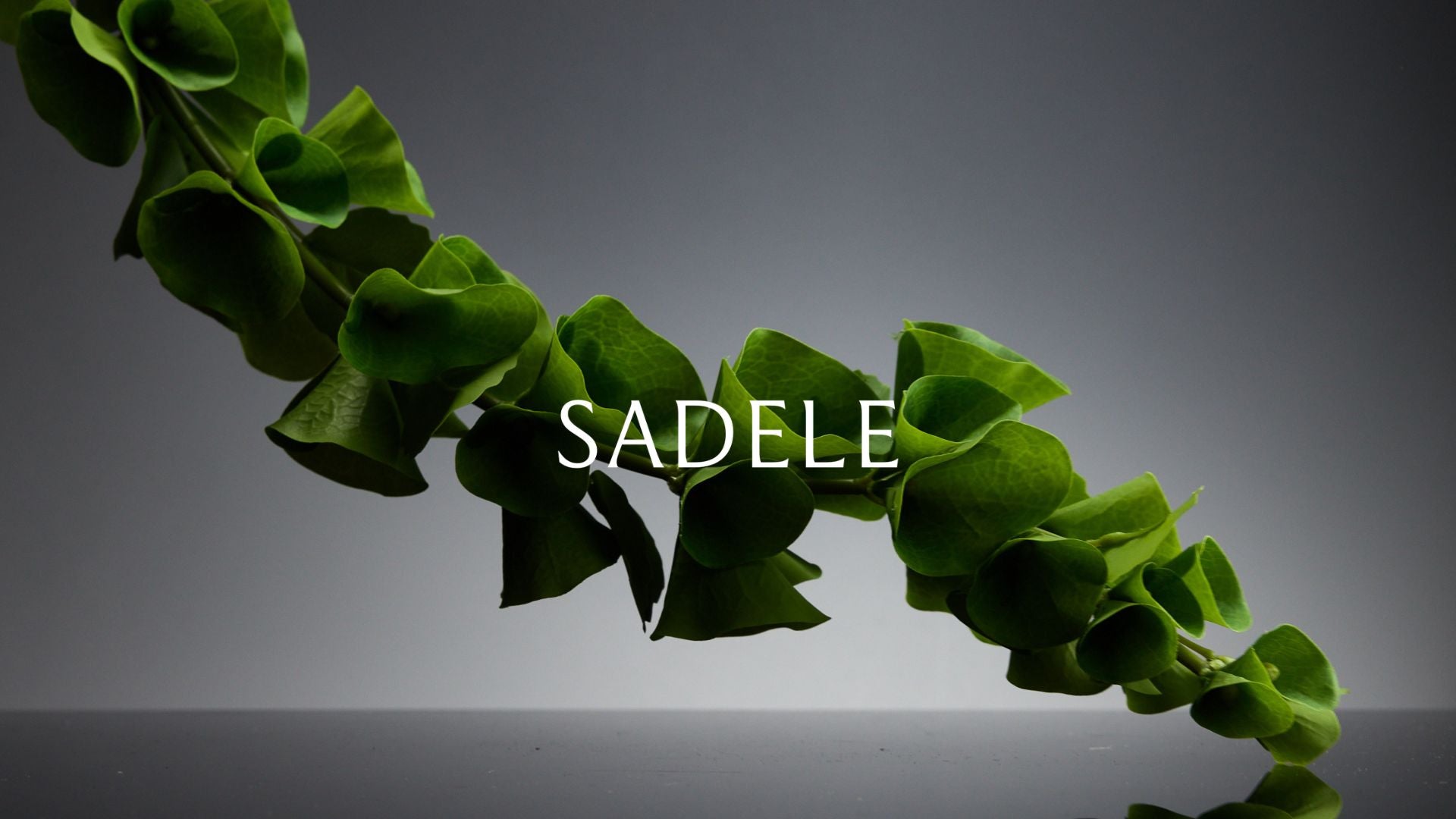Sadele Gift Card